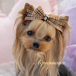 【 犬用　バレッタ 】 おしゃれ　トップノットペット　子供　ヘアアクセサリー　リボン　バレッタ　♡AquaMana♡