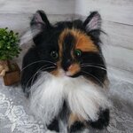 (naaaaru1022様専用ページ)ノルウェージャンフォレストキャットちゃん