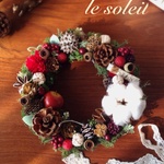 【h様専用ページ】ナチュラルクリスマスリース(L) red