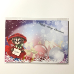 クリスマス★デザインメモ♡ハガキサイズ　バラ20枚セット   
