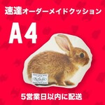 【オーダーメイド】クッション ◇サイズA4 ペット オリジナルクッション 犬 猫 うちの子クッション 高品質 01