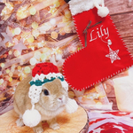 うさぎ☆クリスマスるんるんニット帽