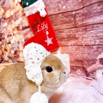 うさぎ☆クリスマスるんるんニット帽☆オールホワイト