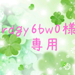 rdgy6bw0様専用  17.25  2枚