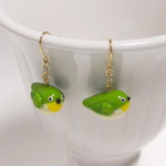 めじろピアス