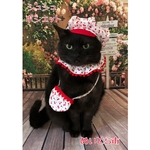 チェリー柄シュシュ、ポシェット猫ちゃんの首輪
