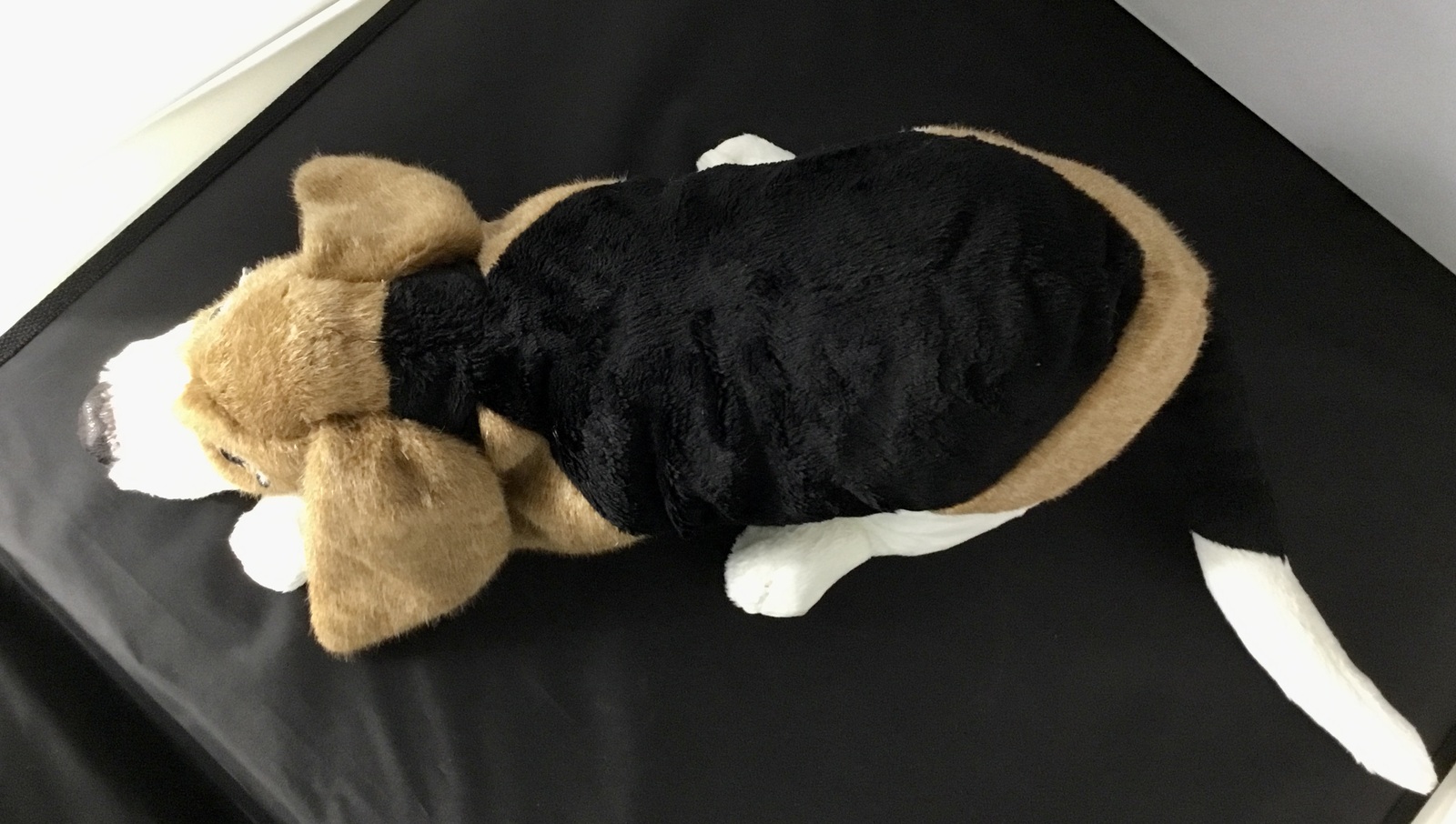 クタクタなビーグル犬の伏せポーズ - rumi doll GALLERY | minne