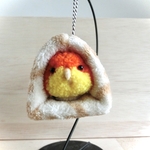 もけもけシロハラインコさんinバードベッド