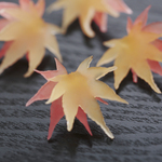 淡く透ける紅葉のピアス