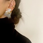 グレーファー×パールピアス