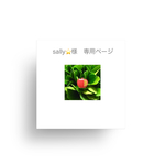sally⭐️様専用ページ