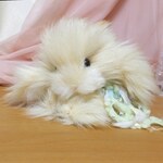 おめざめ うさぎ  (毛糸グリーン)