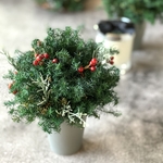 ★クリスマスツリー★グリーンレッド