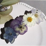 紫陽花の押し花バレッタ