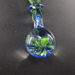 新芽