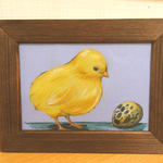 ひよことうずら