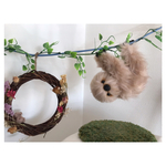 ［ teddybearmam 様 専用 ］フタユビナマケモノ ♡