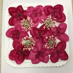  NO.596 ローズ色のかしわば紫陽花／押し花素材
