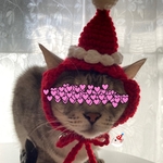 サンタ.クリスマス.12月.ニット帽.猫.被り物.コスプレ.毛糸