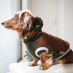 犬服　ダックスちゃんの迷彩のフード付タンクトップ　迷彩×グレイ
