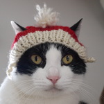 クリスマスにゃんこ帽子★猫用手編みサンタ帽子★ニット帽