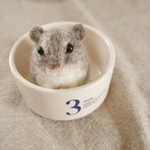 【オーダー品】羊毛フェルトのハムスター