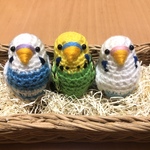 momon848さま専用♡セキセイインコちゃん＆マメルリハちゃんセット