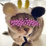 再販】丑年.正月.新年.1月.ニット帽.猫.被り物.コスプレ.毛糸