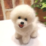 ビションフリーゼ♡