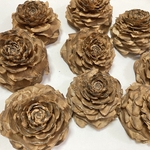 値下げ♥シダーローズ＊9個