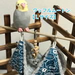 【Ｌｻｲｽﾞ】リバーシブルCHANGEテント