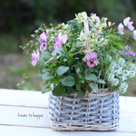 春のお花のバスケットギャザリング寄せ植え