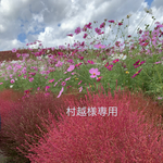 村越様専用ページ