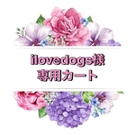 【 犬用　バレッタ 】 おしゃれ　トップノットペット　子供　ヘアアクセサリー　リボン　バレッタ　♡AquaMana♡