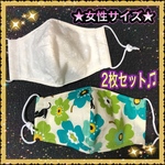 ★女性サイズの立体マスク★ 2枚セット!! 上下なし＆フィルターポケット付き