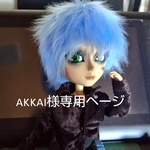 akkai様専用ページ