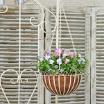 🌷季節の花寄せ植え ビオラ ヘブンリーブルー＆ピンクアンティーク ハンギングバスケット吊タイプ White🌷