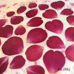 ♡new♡待望のオーダー作品♡バラの花びら押し花セット♡
