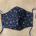 送料無料꙳★*ﾟ秋用マスク/大人用/プレゼントにも/冬用マスク/かわいい/冬用/爽やか/手作りマスク/ハンドメイド/クリスマス柄/雪/クリスマス