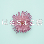 はるちょこ様オーダー
