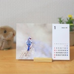 2021野鳥たちの卓上カレンダー（1－12月）