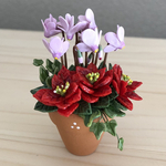 ポインセチアとシクラメンの寄せ植え　2