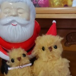 もこもこひよこのX'mas