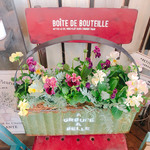 新作♡現品【フリルビオラ 華あられ寄せ植え】おしゃれなガーデニング♡緑系横長ブリキ鉢♪