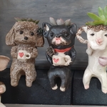 kuma様専用☆植木鉢☆多肉植物♡のカップを持つフレブルBLACK ももちゃん🐶