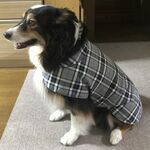 オーダー 小型犬 中型犬 大型犬 春・秋服マント型コート チェック柄・グレー系