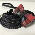 犬用首輪リードセット