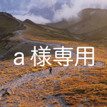 ✨ａ様専用✨