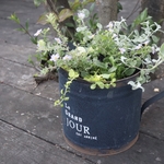 ビオラと季節の花の寄せ植え　ポルトの窓辺
