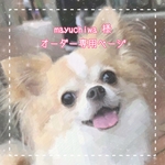mayuchiwa様　オーダー専用ページ